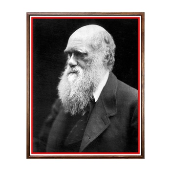 Tablou Poster, Celebritati, Charles Darwin - CLB-048, 40 x 50 cm Tablou Poster, Celebritati, Charles Darwin - CLB-048, 40 x 50 cm