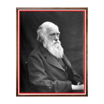 Tablou Poster, Celebritati, Charles Darwin - CLB-049, 40 x 50 cm Tablou Poster, Celebritati, Charles Darwin - CLB-049, 40 x 50 cm