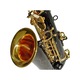Saxofon Alto - Karl Glaser Negru