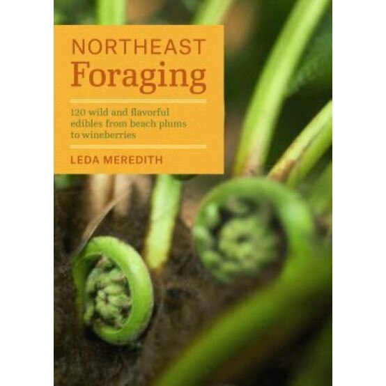 Northeast Foraging: 120 Wild and Flavorful Edibles from Beach Plums to Wineberries, Leda Meredith (Author)