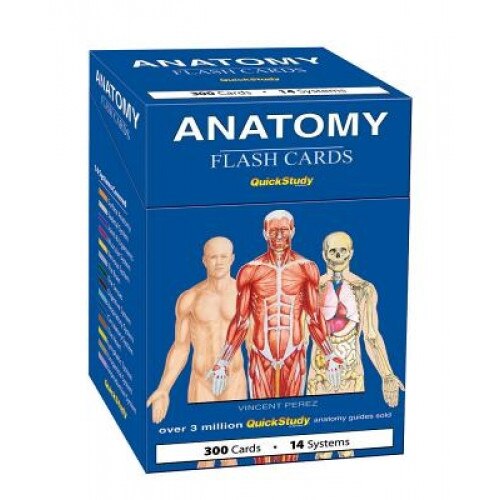 Anatomy Flash Cards,