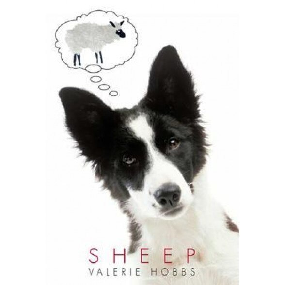 Sheep, Valerie Hobbs