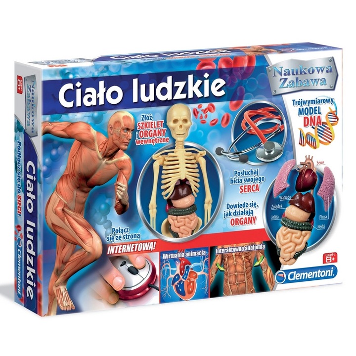 Образователна игра Clementoni, Човешкото тяло, Учебен комплект