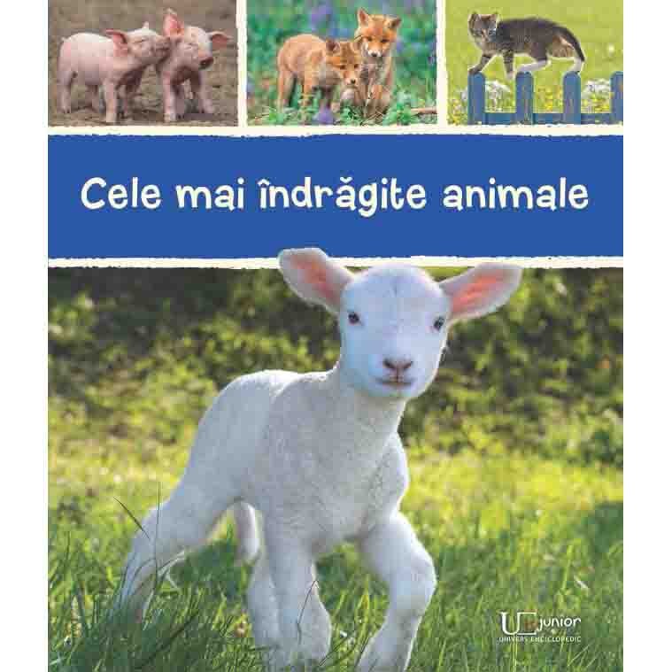 Cele mai indragite animale