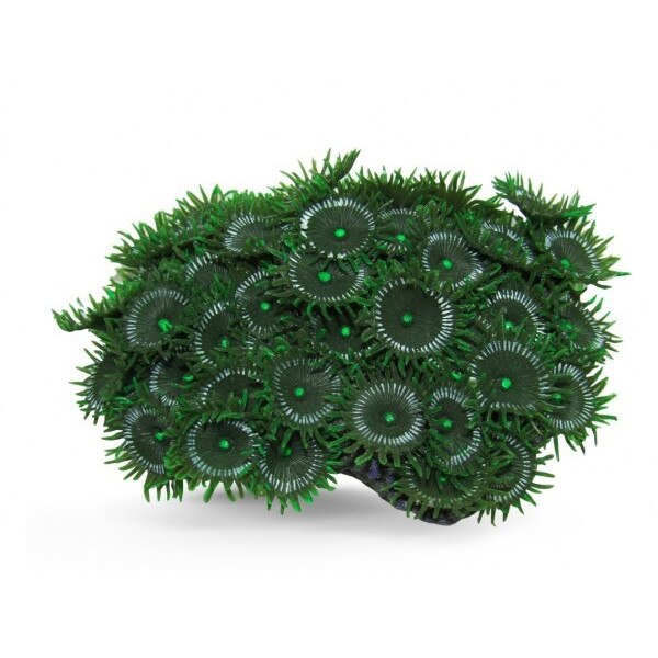 Colonie de corali artificiali verzi