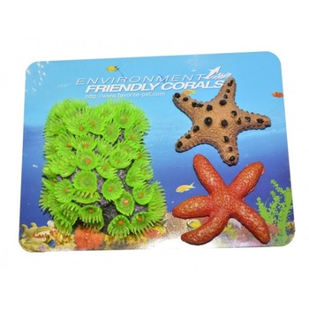 Coral acvariu Yellow Sun Coral si 2 stele de mare Coral acvariu Yellow Sun Coral si 2 stele de mare