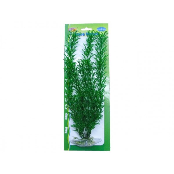 Planta plastic Stonewort 40 cm