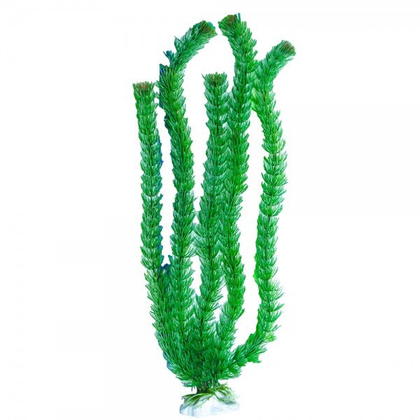 Planta plastic FLOWERING DIANDRA 50 cm