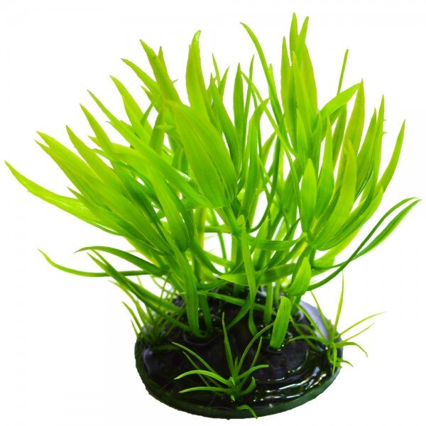 Planta artificiala acvariu Lilaopsis 11 cm