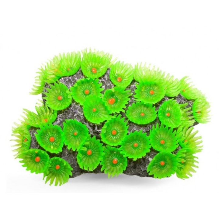 Decor acvariu coral artificial Tubastrea aurea