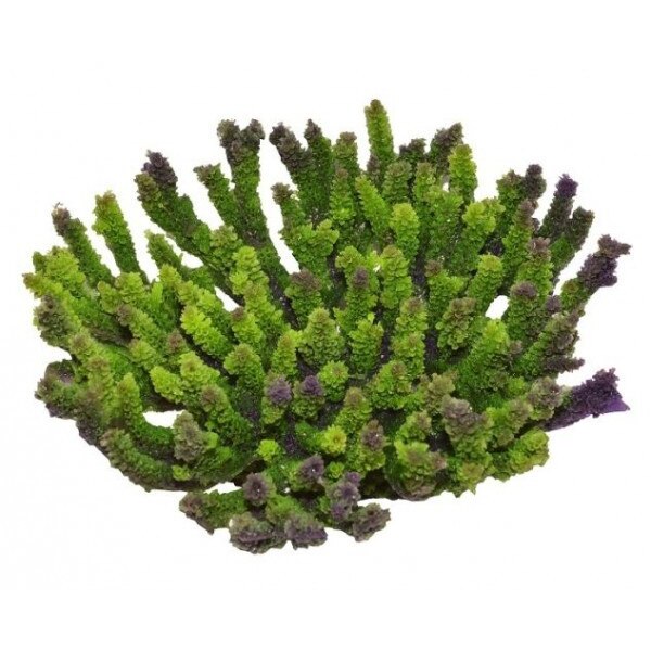 Recif coral artificial verde