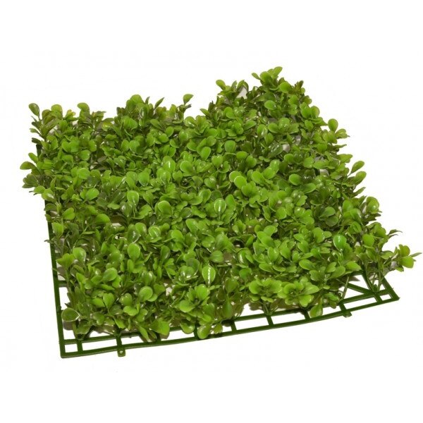 Planta covoras acvariu 26 X 26cm cod CP01