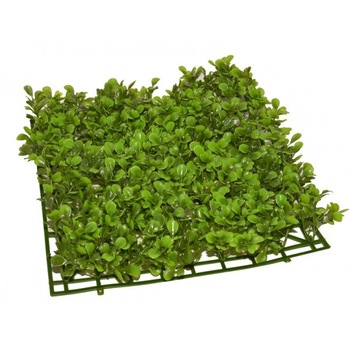 Planta covoras acvariu 26 X 26cm cod CP01 Planta covoras acvariu 26 X 26cm cod CP01