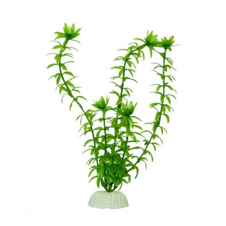 Planta plastic Anacharis 30 cm