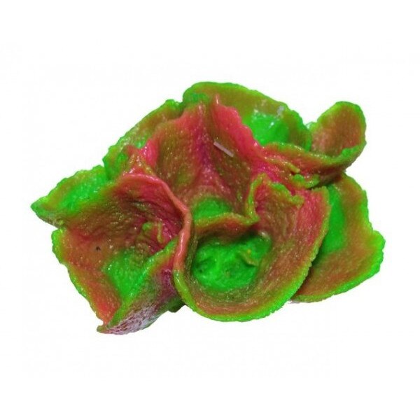 Ocean Free Decor Reef Siliconic Y58