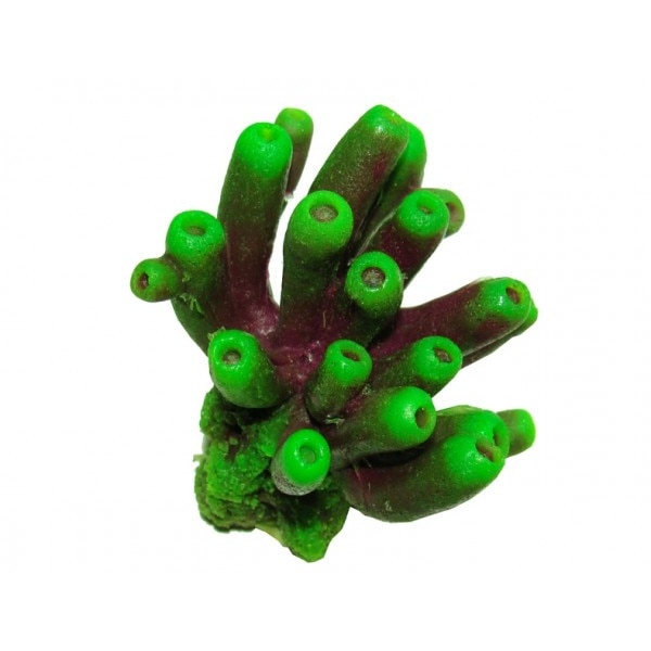 Decor recif acvariu Y52