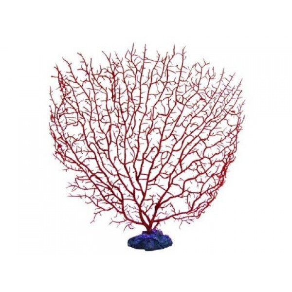 Decor acvariu Subergorgia species