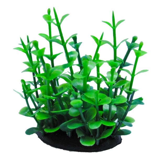 Planta artificiala de acvariu Bacopa verde 11 cm