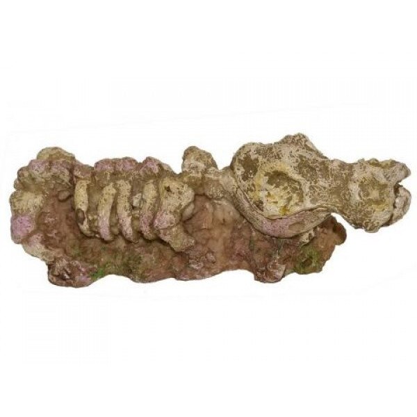 Decor acvariu Schelet de Dinozaur