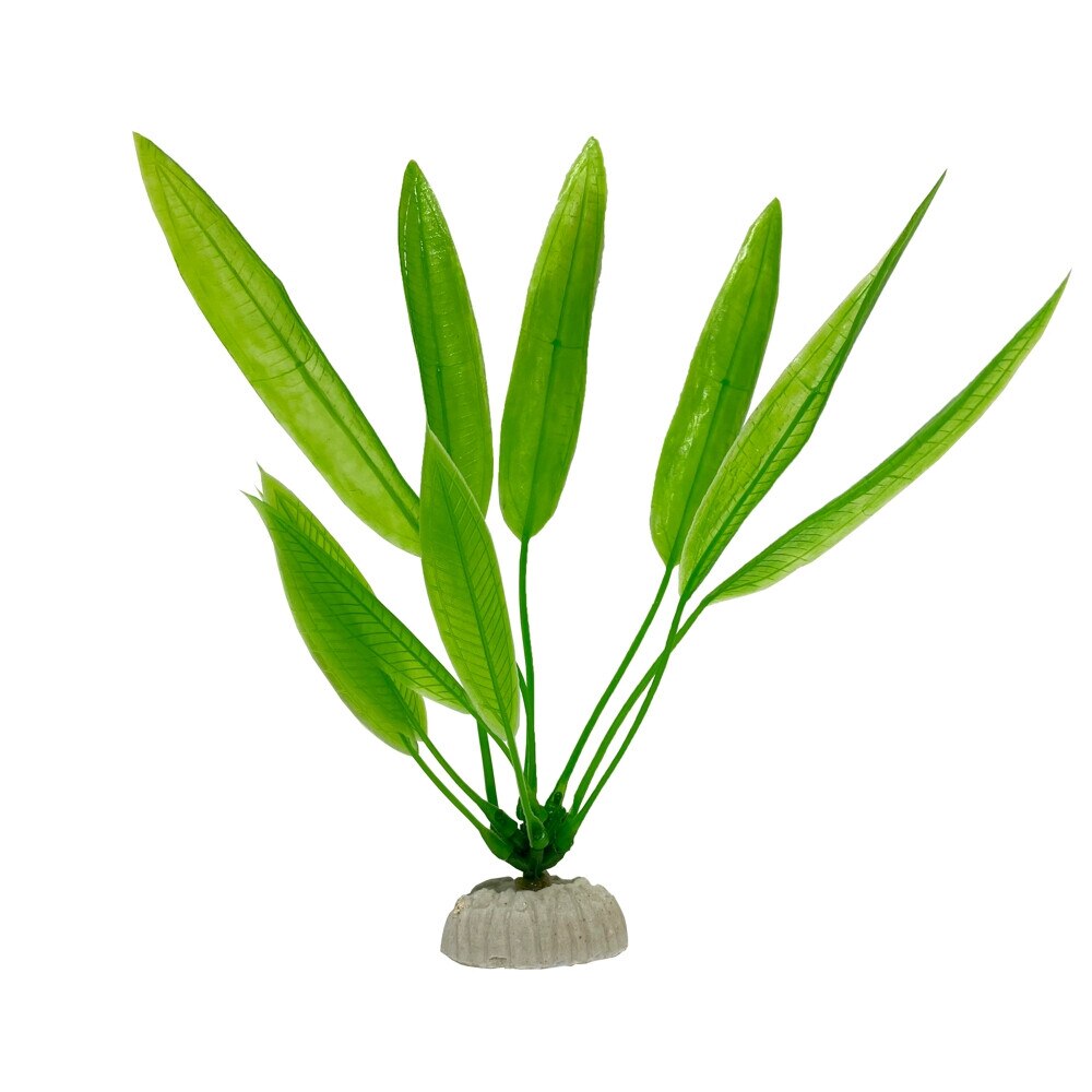 Planta plastic ECHINODORUS 20 cm