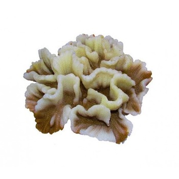 Decor coral acvariu alb cu maron Decor coral acvariu alb cu maron