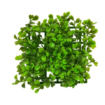 Planta covoras acvariu 15 X 15cm cod CP02 Planta covoras acvariu 15 X 15cm cod CP02