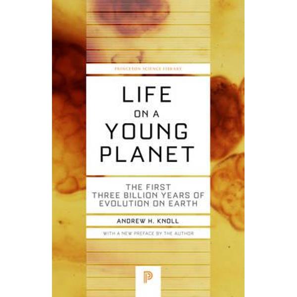 Life on a Young Planet