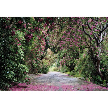 Fototapet , Colectia Komar Vol 15, Categoria Deluxe , 8 piese , dimensiuni 368x254 cm , 8-985 Fototapet , Colectia Komar Vol 15, Categoria Deluxe , 8 piese , dimensiuni 368x254 cm , 8-985