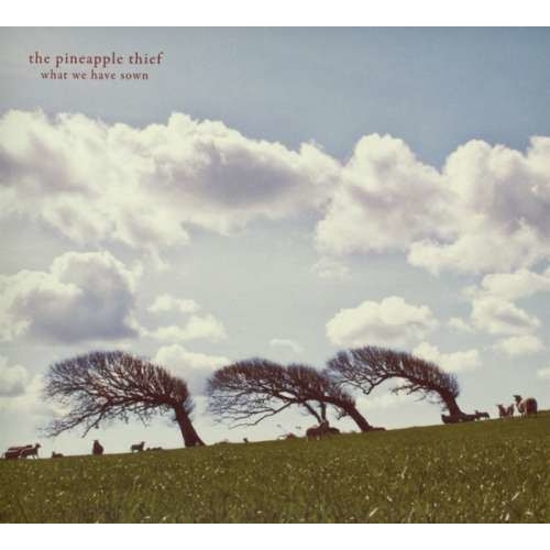 Pineapple Thief - What We Have Sown -digi- (CD)
