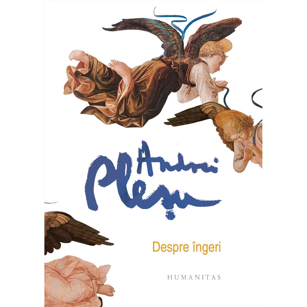 Despre Ingeri - Andrei Plesu