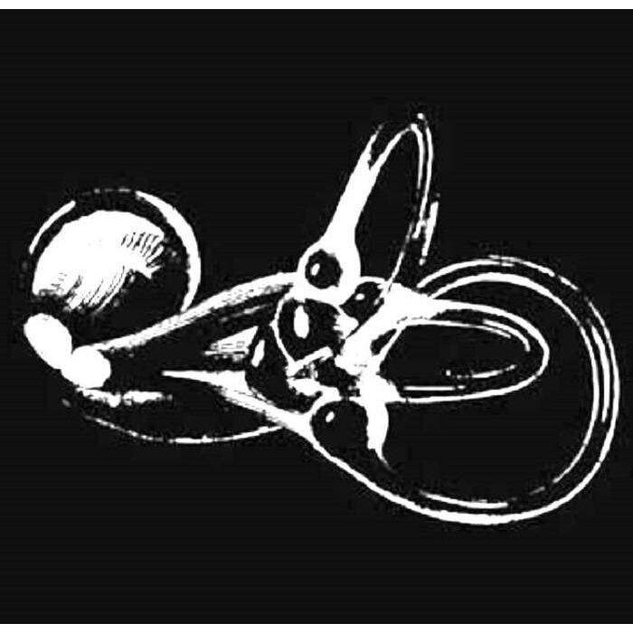 Skeleton Key - Obtainium (CD)