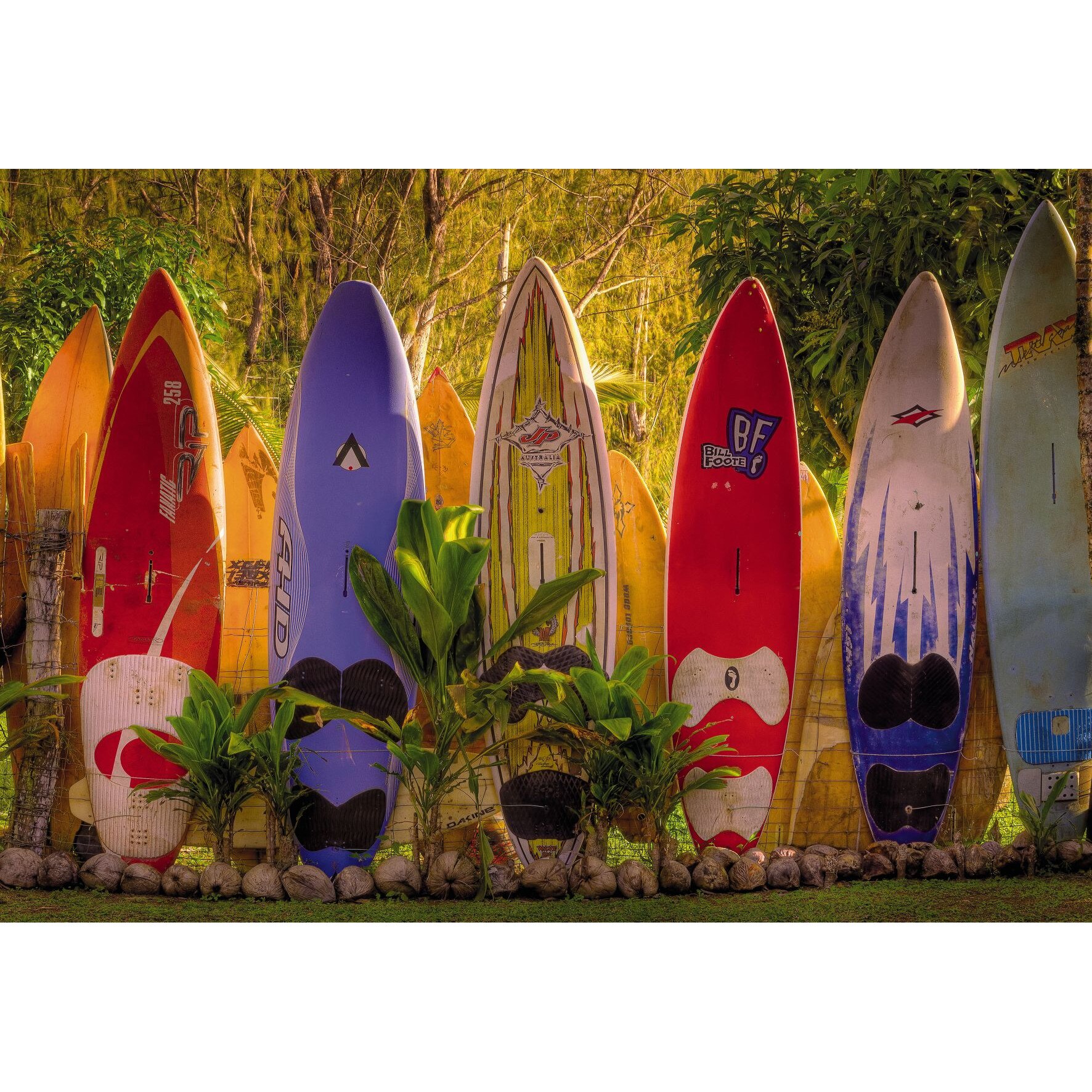 Fototapet obiecte Komar 8-902, Maui 368 x 254 cm