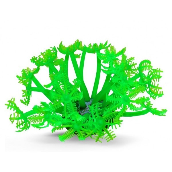 Decor acvariu coral verde Xenia species