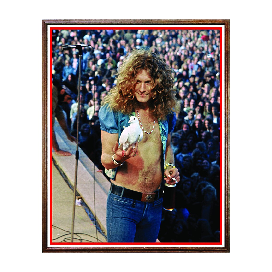 Tablou Poster, Rock Legends, Robert Plant - RL-110, 40 x 50 cm