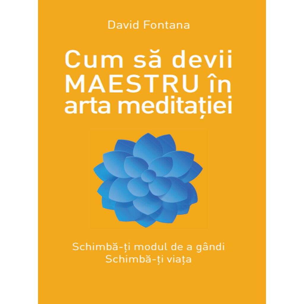 Cum sa devii maestru - David Fontanavol