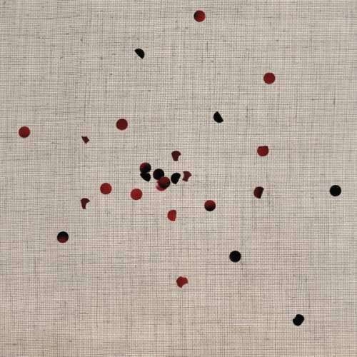 Nonpareils - Scented Pictures (CD)