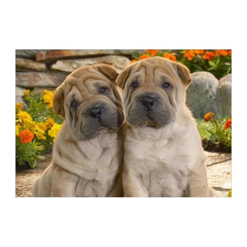 Stiker (autocolant) 3D pentru LAPTOP 15,6 Astrum NB200 Model.13