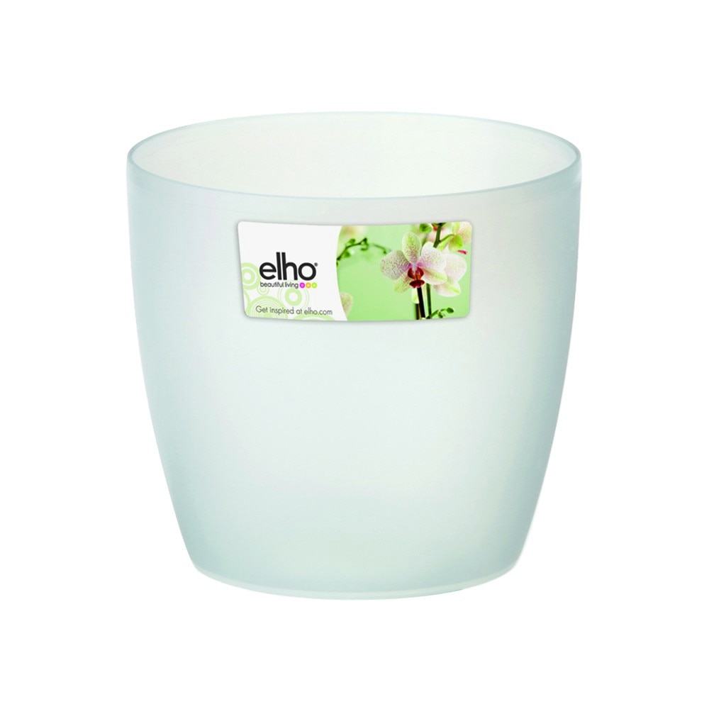 Masca pentru orhidee Brussels Orchid cu diametrul de 16 cm, transparent