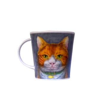 Cana - Cairngorm rogues gallery Cana - Cairngorm rogues gallery