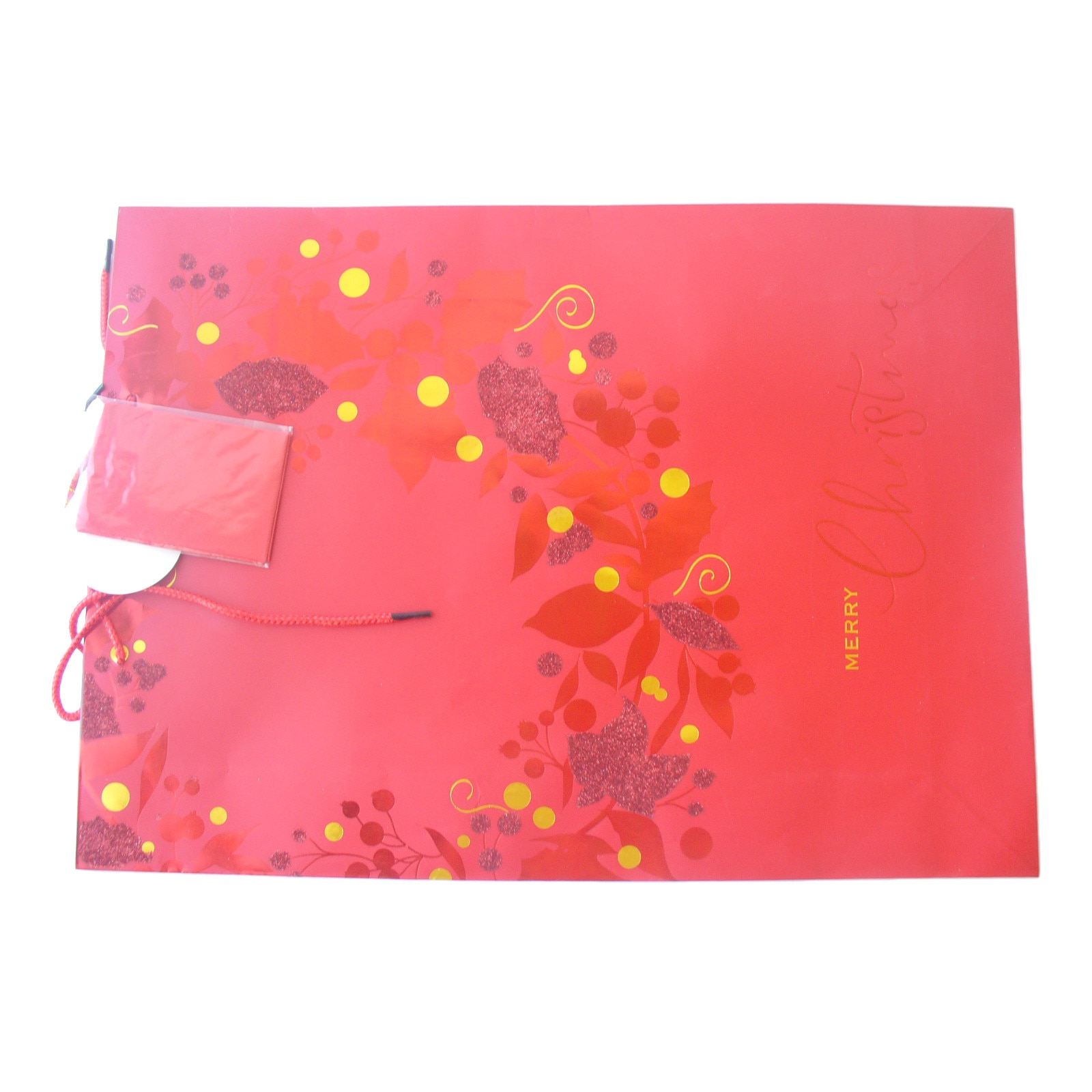 Punga de iarna - Coronita Ornament Craciun - XL