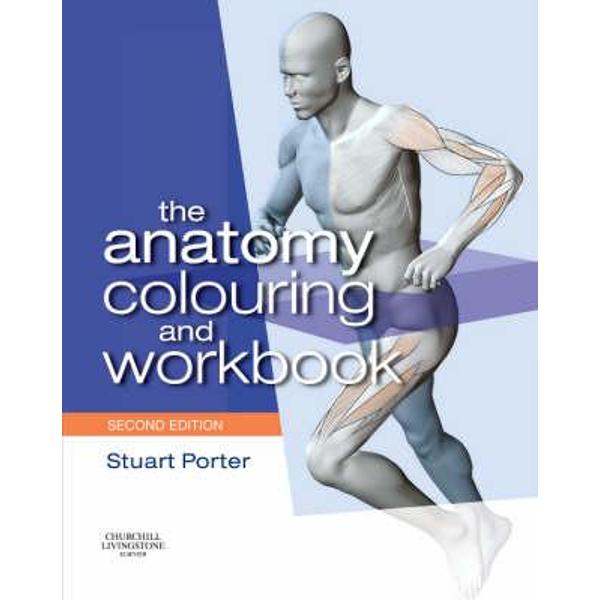 Anatomy Colouring and Workbook