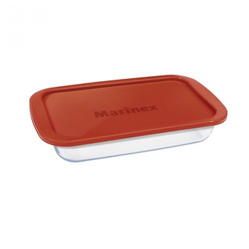 Vas dreptunghiular cu capac de plastic, 2.9 litri Vas dreptunghiular cu capac de plastic, 2.9 litri