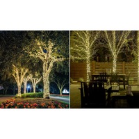 Instalatii luminoase copaci exterior, 22 m, ghirlande luminoase mini led