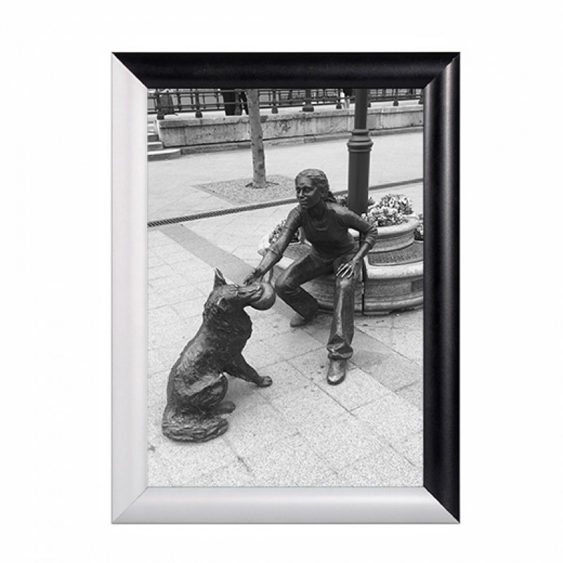 Rama click Duo Color L, format A4 din aluminiu, pentru expunere postere, afise, documente