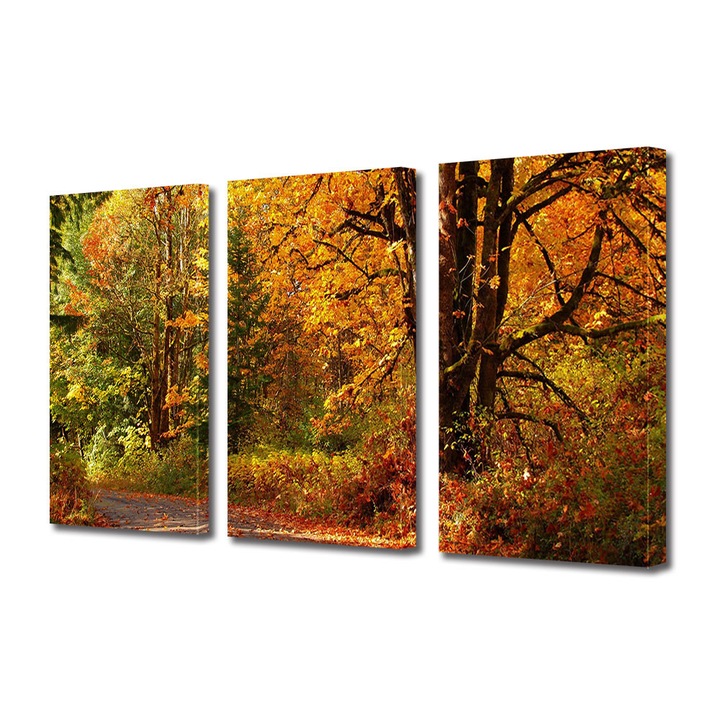 Set Tablouri Multicanvas 3 Piese Peisaj de Toamna cu Toamna minunata in padure, 90 x 180 cm