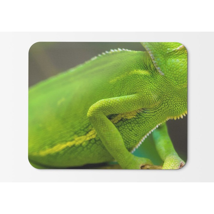 Mouse Pad Chameleon Green - 21.5 x 27 x 0.3cm