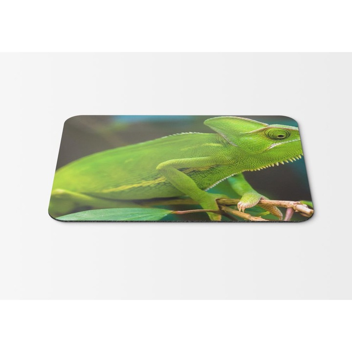 Mouse Pad Chameleon Green - 21.5 x 27 x 0.3cm
