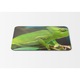 Mouse Pad Chameleon Green - 21.5 x 27 x 0.3cm