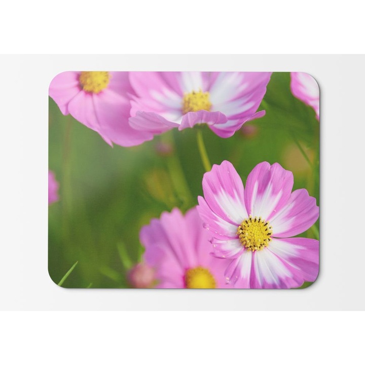 Egérpad Cosmos Flowers Pink Cosmos Beautiful Cosmos - 21,5 x 27 x 0,3 cm