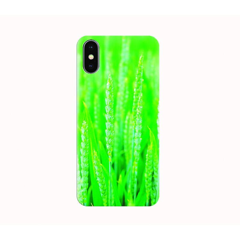 Husa silicon IPHONE X - green wheat
